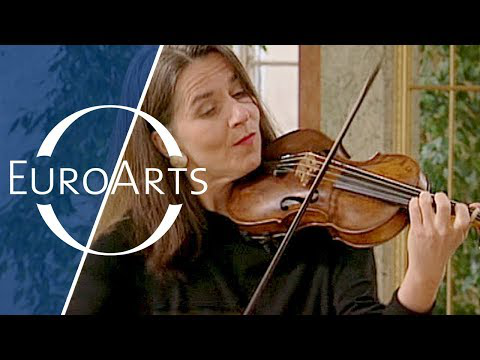 Bach: Brandenburg Concerto No. 3 in G major, BWV 1048 (Freiburger Barockorchester)