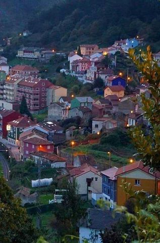 PRAVIA. asturias