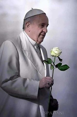 El Papa Francisco se lució con éste maravilloso mensaje:
"Está vida se va a ir rápido, no pelee con la gente, no critique tanto su cuerpo. No se queje tanto. No pierda el sueño por las cuentas. Busque la pareja que lo haga feliz. Si se equivoca, dejela y siga buscando su felicidad. Nunca deje ser buen padre.
No se preocupe tanto en comprar lujos y comodidades para su casa, ni se mate dejándole herencia a su familia. Los bienes y patrimonios deben ser ganados por cada uno, no se dedique a acumular plata. Disfruté, viaje, disfrute de sus paseos, conozca nuevos lugares. Dese los gustos que merece. Permita tener a los perros más cerca.
No se ponga a guardar las copas. Utilice la nueva vajilla, no economice su perfume favorito, úselo para pasear contigo mismo, gaste sus tenis favoritos, repita sus ropas favoritas, ¿y qué?. Si no está mal, ¿por qué no ahora?, ¿Por qué no orar en vez de esperar a orar antes de dormir?, ¿Por qué no llamar ahora?, ¿Por qué no perdonar ahora?. Se espera mucho para la Navidad, el viernes, un año más, cuando se tenga dinero, cuando el amor llegue, cuando todo sea perfecto... Mire, .... No existe el todo perfecto.
Los seres humanos no pueden lograr esto porque simplemente no se hizo para completarlo aquí. Aquí es una oportunidad de aprendizaje. Así que tome está prueba de vida y hazlo ahora... Ame más, perdone más, abrace más, viva más intensamente y deje el resto en las manos de Dios".