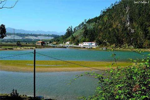 TINA MAYOR
La ría de Tina Mayor, pese a lo que indica su nombre, en el estuario más pequeño de Cantabria que junto con su hermana y vecina la ría de Tina Menor, son protagonistas de la costa occidental de Cantabria. Tierra, mar, montaña y ríos se unen para crear este singular y curioso paisaje.
La Ría tiene una desembocadura estrecha y rocosa con elevadas pendientes, en la misma desembocadura del Deva posee una playa de cantos y gravas conocido como la Playa del Pedredo.

En el curso inicial y medio encontramos un estrecho canal sin vegetación de marisma, la cual es reemplazada por árboles y arbustos dispersos por las orillas, y en zona intermedia del estuario encontramos carrizales, espartinales y juncales en ambas márgenes. .
Su buen estado de conservación es debido al escaso impacto humano que ha permitido que la flora y la fauna se conserve en mejor estado que en otros rías de Cantabria.
Un buen indicador de la calidad de este tramo final del Deva es la presencia de lampreas presentes en este río hasta la zona de “El Matadero”, obstáculo natural aguas arriba en La Hermida.