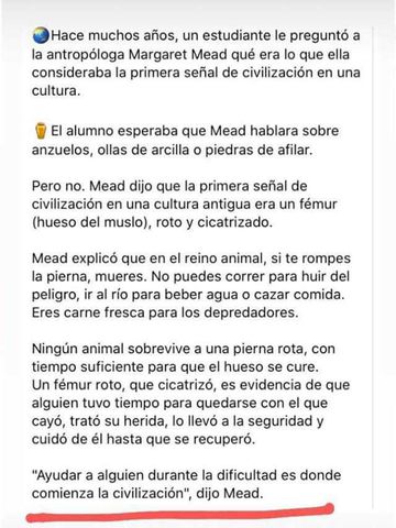 LA OTRA CARA DE LA MONEDA. LA NATURALEZA SE DA UN RESPIRO ! MIENTRAS LA PLAGA DEL HOMBRE ESTA EN CUARENTENA!