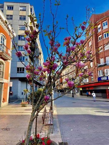 Aviles. asturias