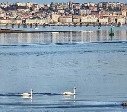 Buenas noches Santander, feliz descanso