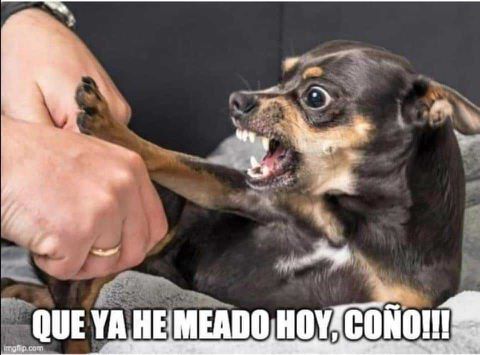 jeje