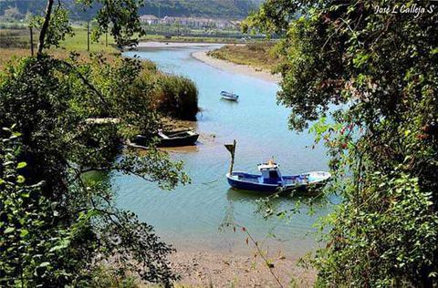 TINA MAYOR
La ría de Tina Mayor, pese a lo que indica su nombre, en el estuario más pequeño de Cantabria que junto con su hermana y vecina la ría de Tina Menor, son protagonistas de la costa occidental de Cantabria. Tierra, mar, montaña y ríos se unen para crear este singular y curioso paisaje.
La Ría tiene una desembocadura estrecha y rocosa con elevadas pendientes, en la misma desembocadura del Deva posee una playa de cantos y gravas conocido como la Playa del Pedredo.

En el curso inicial y medio encontramos un estrecho canal sin vegetación de marisma, la cual es reemplazada por árboles y arbustos dispersos por las orillas, y en zona intermedia del estuario encontramos carrizales, espartinales y juncales en ambas márgenes. .
Su buen estado de conservación es debido al escaso impacto humano que ha permitido que la flora y la fauna se conserve en mejor estado que en otros rías de Cantabria.
Un buen indicador de la calidad de este tramo final del Deva es la presencia de lampreas presentes en este río hasta la zona de “El Matadero”, obstáculo natural aguas arriba en La Hermida.
