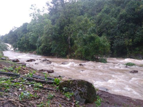 The river almost flood