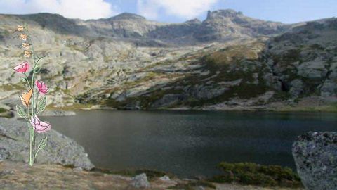 lago Curavaca. palencia. spain