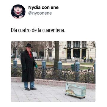 jeje