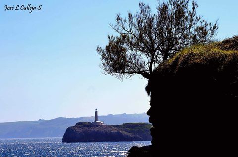 En la ensenada del Camello de Santander (Cantabria) el rostro de un niño se asoma a la mar.
Todos aquellos que por este lugar venimos alguna vez a contemplar nuestra mar ¿habéis observado como en la peña donde se asienta El Niño Neptuno existe un duende que desde siempre sueña con bañarse en la mar?