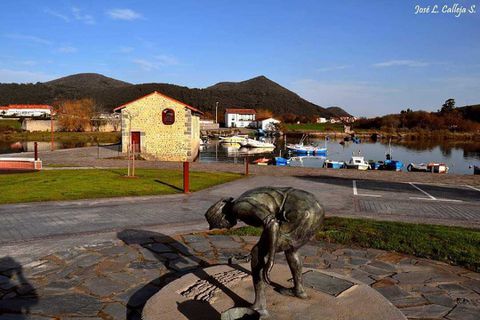 Allá por Ancillo de Argoños (Cantabria) cerca del molino Jado cogiendo caracolas amaneciendo ….
Erraba por la orilla de la ría desierta,
interpretando el ritmo de la onda bulliciosa.
Las brisas matinales aromaban el molino,
el alba despeinaba su cabellera al viento.

Y, al rumor apagado de la ronca sonata,
sentí una sangre nueva circular por mis venas,
sangre bermeja digna de un corazón pirata,
o de un moderno Ulises, pescador de sirenas.