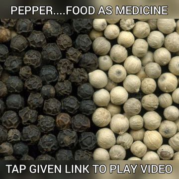 https://youtu.be/wakHxTcgUzo
​🖕🖕🖕🖕🖕🖕
Pepper uses | Pepper eating Impact
​Latest Video with ENGLISH CAPTIIN
​tap LINK to watch video   
​ please play SUB LIKE SHARE and
​COMMMENT
​🙏🙏🙏🙏