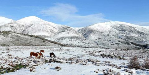Hoy ha nevado algo en cotas altas de Las Merindades.