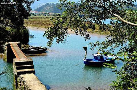 TINA MAYOR
La ría de Tina Mayor, pese a lo que indica su nombre, en el estuario más pequeño de Cantabria que junto con su hermana y vecina la ría de Tina Menor, son protagonistas de la costa occidental de Cantabria. Tierra, mar, montaña y ríos se unen para crear este singular y curioso paisaje.
La Ría tiene una desembocadura estrecha y rocosa con elevadas pendientes, en la misma desembocadura del Deva posee una playa de cantos y gravas conocido como la Playa del Pedredo.

En el curso inicial y medio encontramos un estrecho canal sin vegetación de marisma, la cual es reemplazada por árboles y arbustos dispersos por las orillas, y en zona intermedia del estuario encontramos carrizales, espartinales y juncales en ambas márgenes. .
Su buen estado de conservación es debido al escaso impacto humano que ha permitido que la flora y la fauna se conserve en mejor estado que en otros rías de Cantabria.
Un buen indicador de la calidad de este tramo final del Deva es la presencia de lampreas presentes en este río hasta la zona de “El Matadero”, obstáculo natural aguas arriba en La Hermida.
