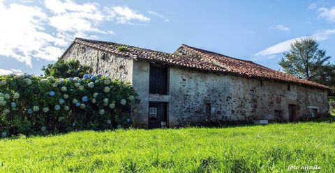 TOTERO (Santa María de Cayón) Cantabria. España.
