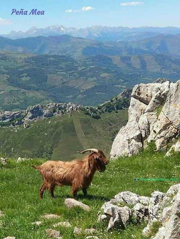 asturias