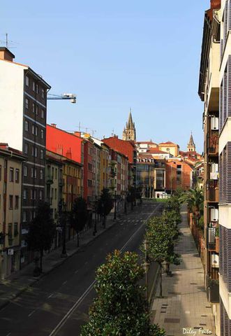 Oviedo. Asturias
