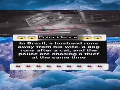 Coincidence
In Brazil, a husband runs away from his wife, a dog runs after a cat, and the police are chasing a thief at the same time
#rianmarketing