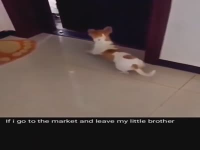 If i go to the market and leave my little brother
#rianmarketing
https://vimeo.com/660650632